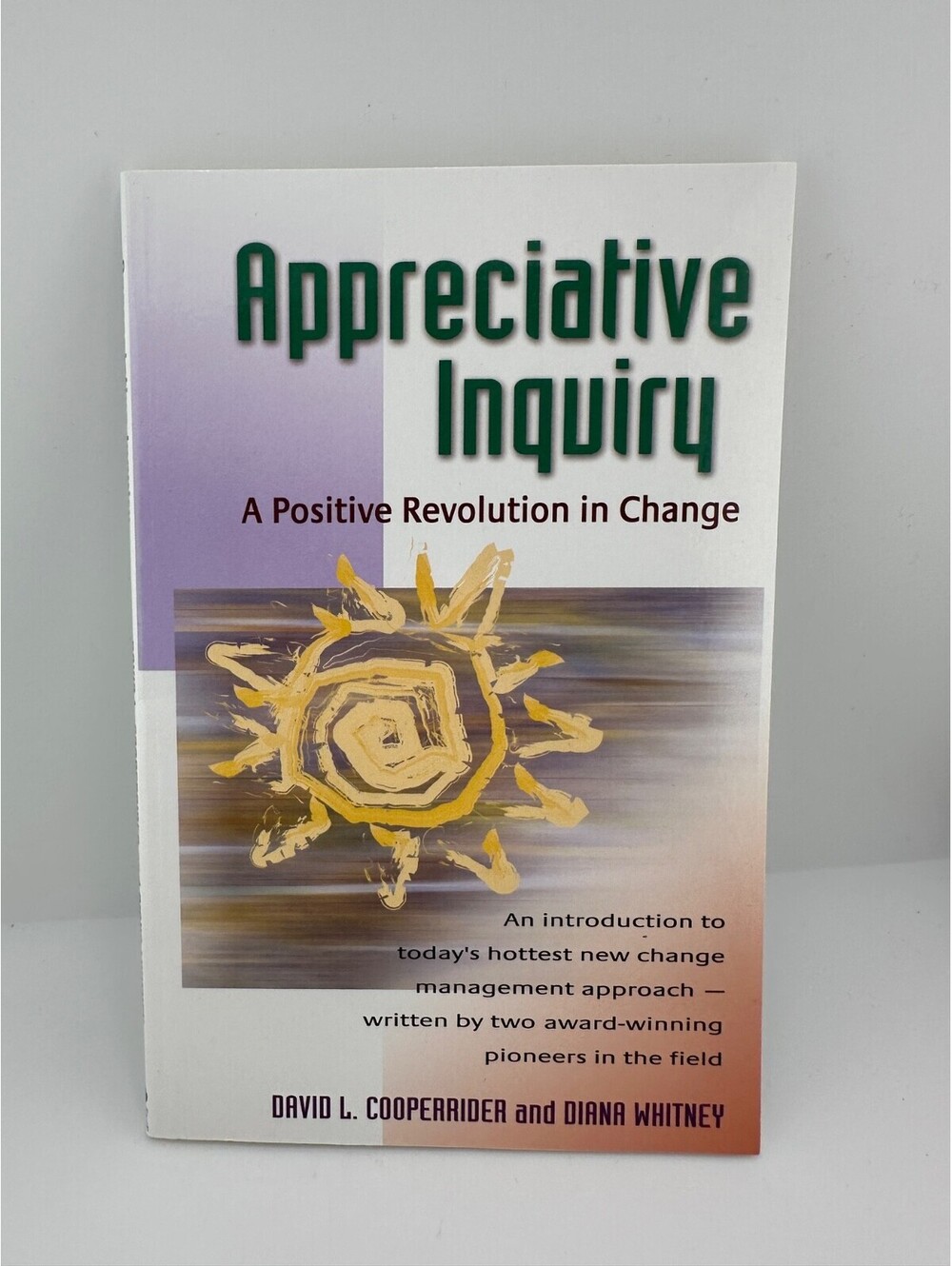 Appreciative Inquiry: A Positive Revolution in Change